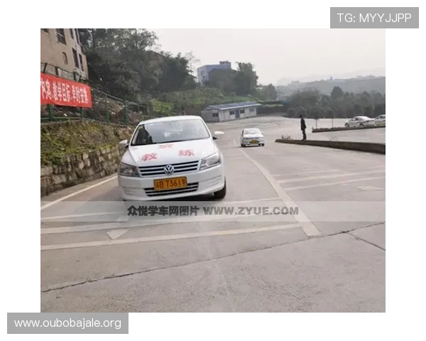 欧博app登录页面频繁无法访问的常见原因及专业修复指南